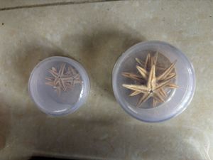 Resin Art Supplies
