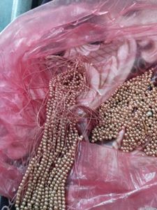 Craft Beads