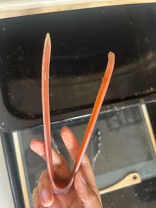 Maharaja Whiteline Oven