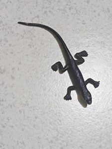 Fake Lizard For Prank