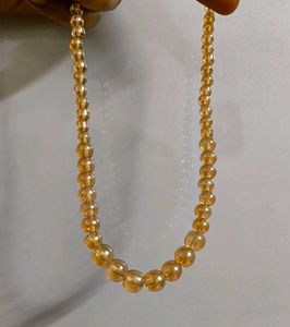 Disneyland Imported Neck Piece