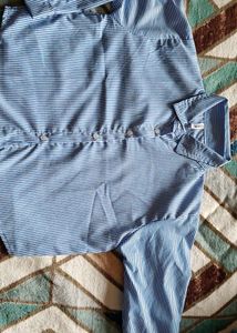 Blue Striped Button-Down Shirt