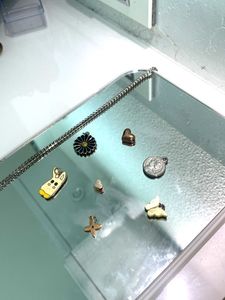 Assorted Charms