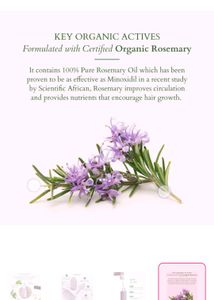 Lotus Active Concentrate Hair Growth Serum 🎉🎉🎉�