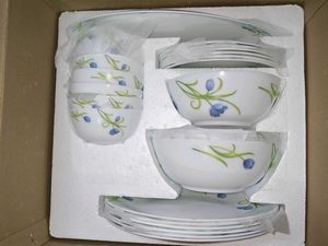 Diva La Opala Pearl Collection NEW Dinner Set