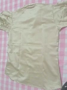 Elegant Cream Puff Sleeve Blouse