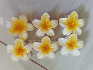 Flower Hair Clips (Set of 6)