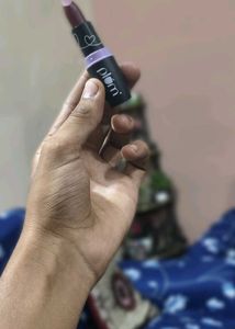 Plum Matte Lipstick