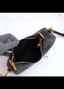 Coach Slingbags