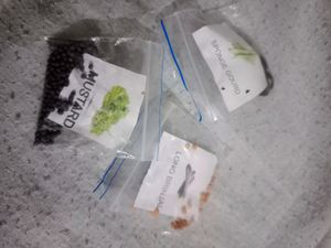 3 Vegetable Seeds Nd 1 Heart Plant