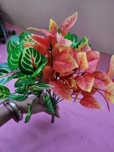 Leaf Set
