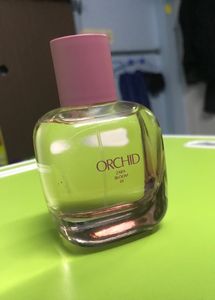 ZARA ORCHID BLOOM Perfume