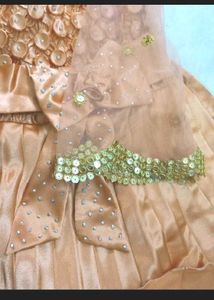 Party Wear Gown.
