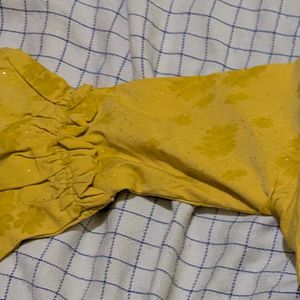 Yellow Jacket