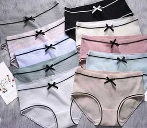Pack of any 4 Cute Bow Panties