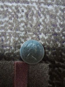 Canada Vintage 5 Cent Coins Year 1979