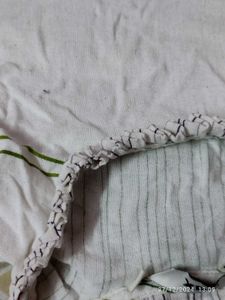 Max Kurti