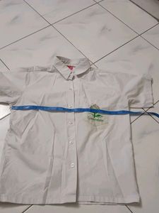 Greendale School Uniform Shirt , Little Stain