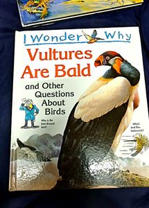 Why I Wonder Childern Book Series