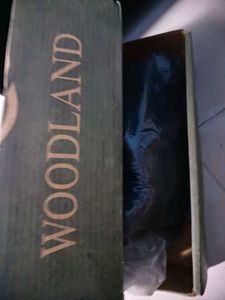 Woodland Trekking Shoes For Men
