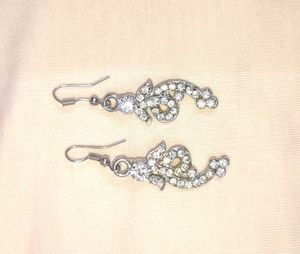 Sparkling Silver Earrings
