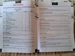 New Millennium Physics Class XI by SK. Sharma