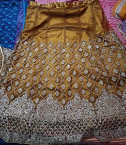 Lehenga And knee length tail Cut top