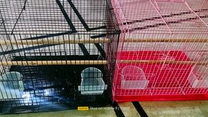 Folding Cage Pijara