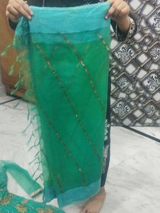Elegant beautiful Ethnic Gown