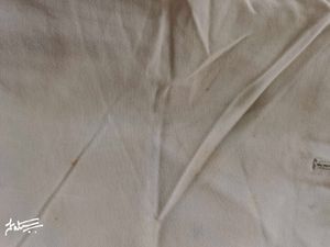 Men Shorts