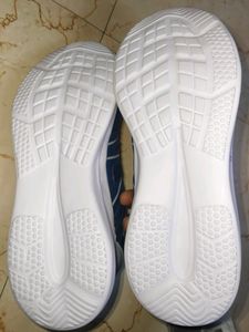 Adidas Shoes