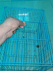 Blue Bird Cage