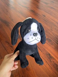 Plush Dog and Panda Toys