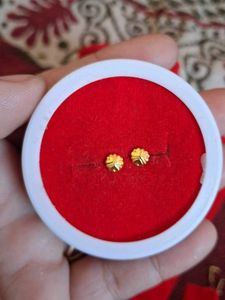 Beautiful New Shaining Stone Studs