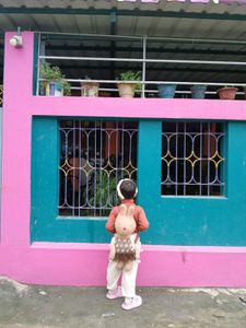 Cute Bunny Backpack imported from Malaysia