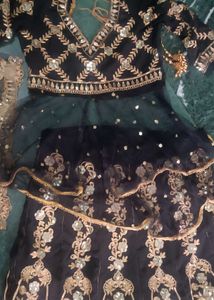 Elegant Lehenga Choli
