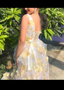 Beautiful Organza Dress