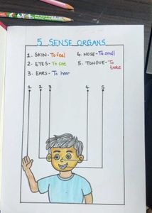5 Senses Worksheet - Fun Learning!