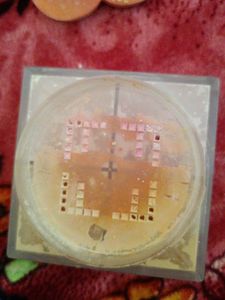 Maybelline Four Color Loose Powder