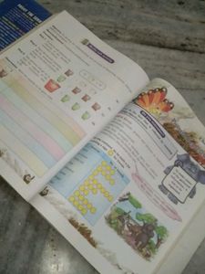 Mathematics Class 3 and EVS standard 1