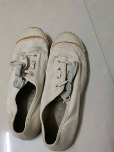Canvas Mens Shoes