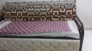 6*3 Ft Sofa Cum Bed