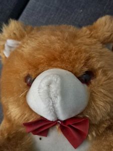 Teddy Bear Soft Toys