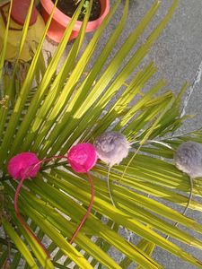 Pompom Hairband Pack