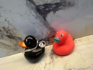 Rubber Duckies