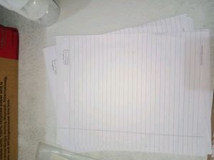 Project /File Work Pages (One Side Line And One Side Blank Pages)sheets