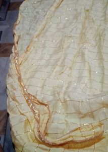 Elegant Dupatta