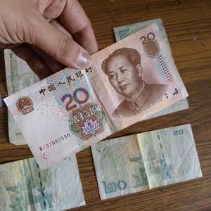 Collectible Foreign Currency Set