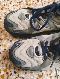 Sparx Shoes,  Size : 08