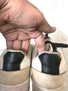 Casual Shoes